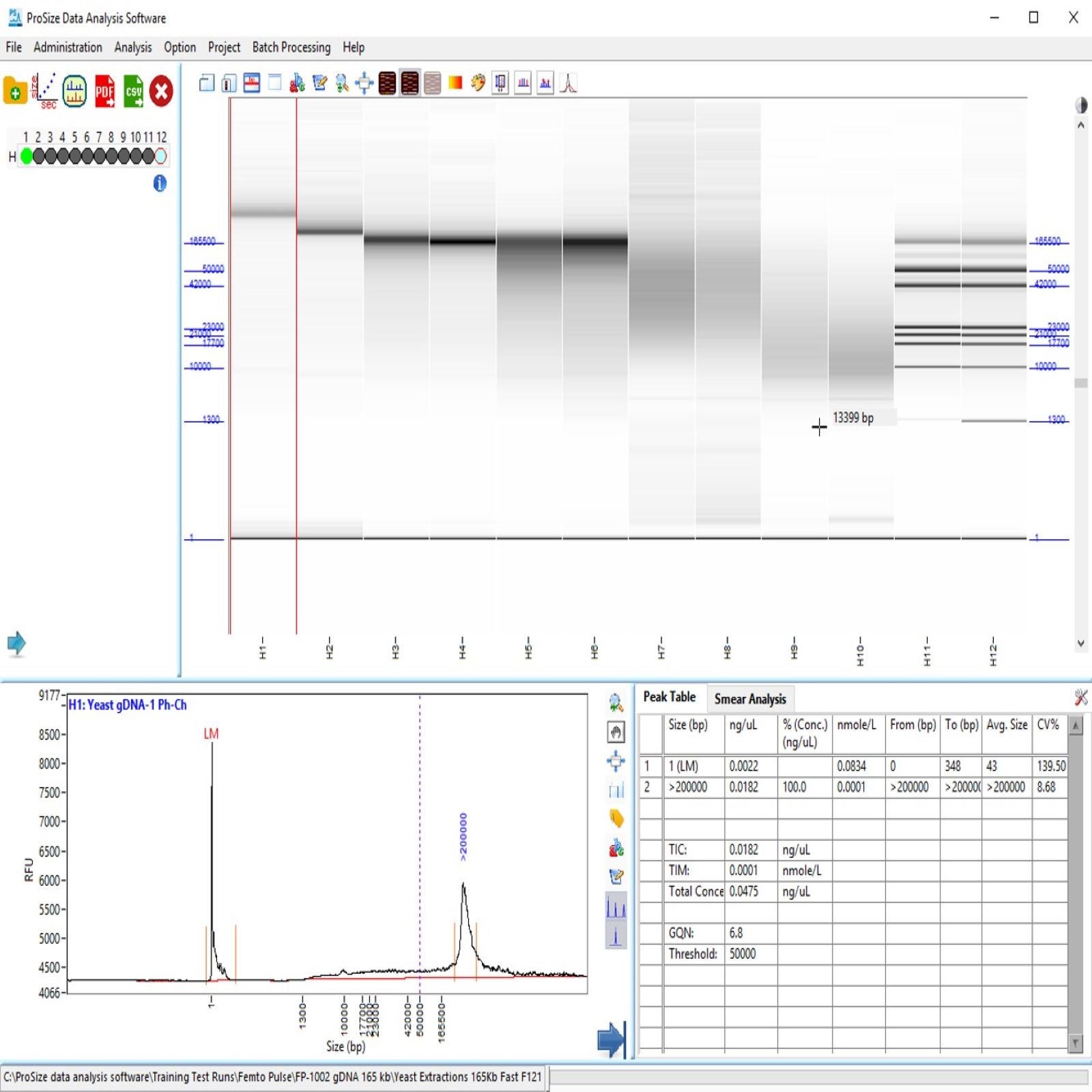 Femto Pulse software 