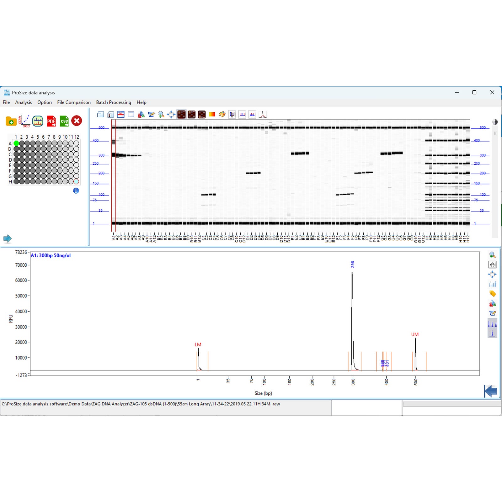 ZAG DNA Analyzer Software