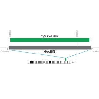 G110750G-8