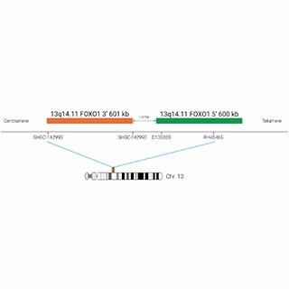 SureFISH Probes
