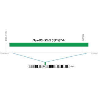 G110862G