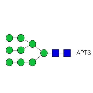 APTS Labeled Glycans